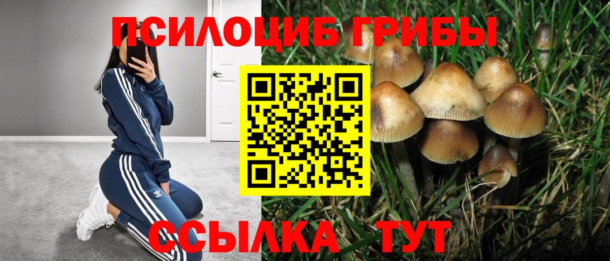 Железногорск  Псилоцибиновые грибы мухоморы  Галлюциногенные грибы Psilocybe  Вход с VPN 
